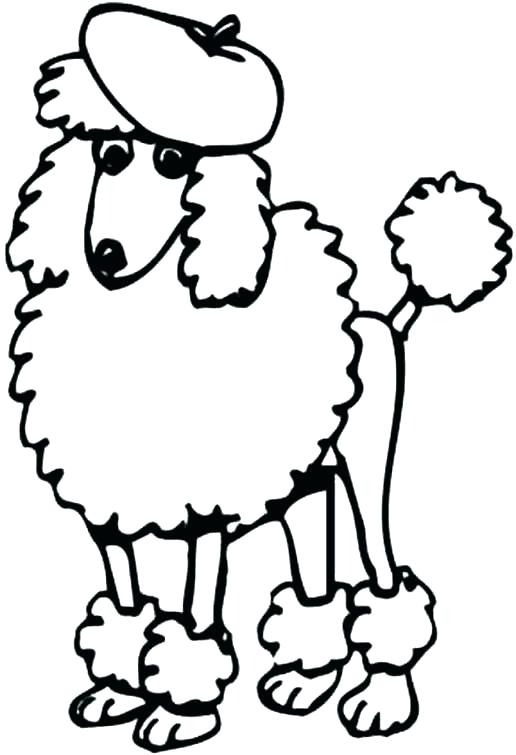Poodle Coloring Page Poodle Coloring Page Poodle Coloring Page 516x755 Poodle Coloring Page Poodle Coloring Page Poodle Coloring Page