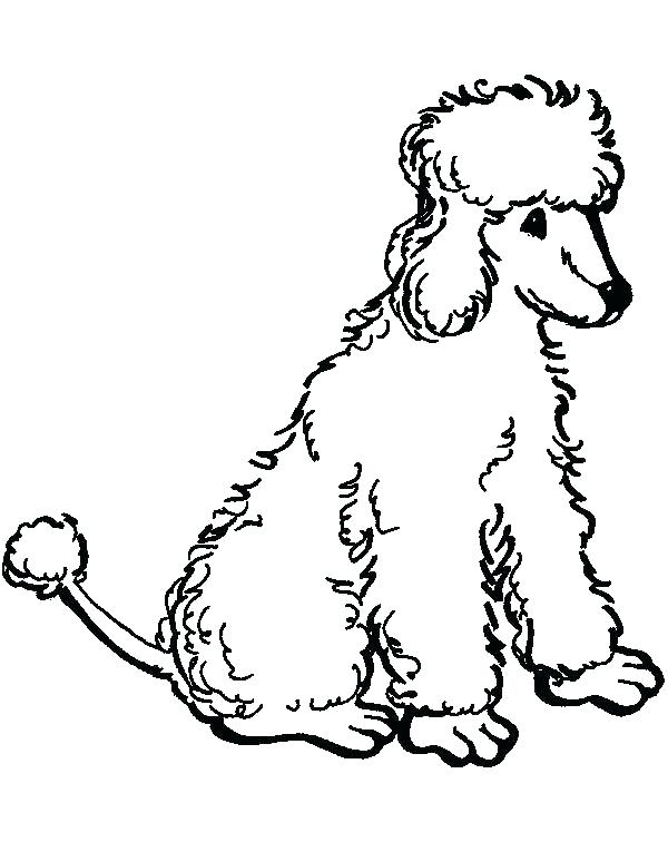 Poodle Coloring Page Poodle Coloring Page Poodle Coloring Pages 600x756 Poodle Coloring Page Poodle Coloring Page Poodle Coloring Pages