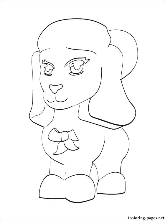 As Well As A Fat Chow Chow Poodle Coloring Page Free Printable 560x750 As Well As A Fat Chow Chow Poodle Coloring Page Free Printable