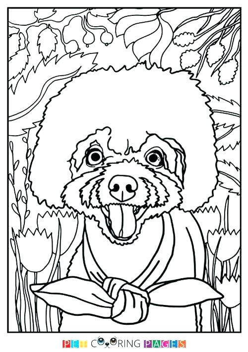 Poodle Coloring Page Poodle Coloring Pages To Print Poodle 500x711 Poodle Coloring Page Poodle Coloring Pages To Print Poodle