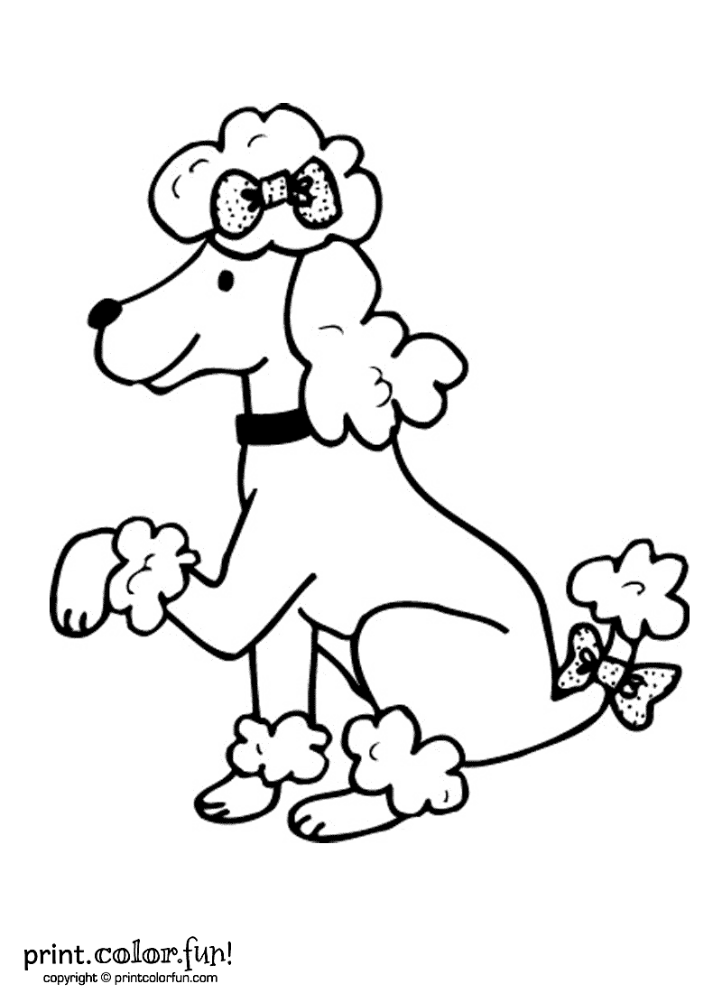 Poodle Dog Print. Color. Fun! Free Printables, Coloring Pages 800x1100 Poodle Dog Print. Color. Fun! Free Printables, Coloring Pages