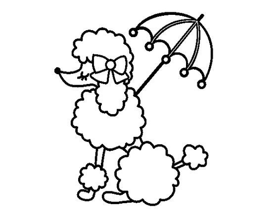 Pin By Michelle W On 9th Bday Party Poodle, Stamps 564x441 Pin By Michelle W On 9th Bday Party Poodle, Stamps