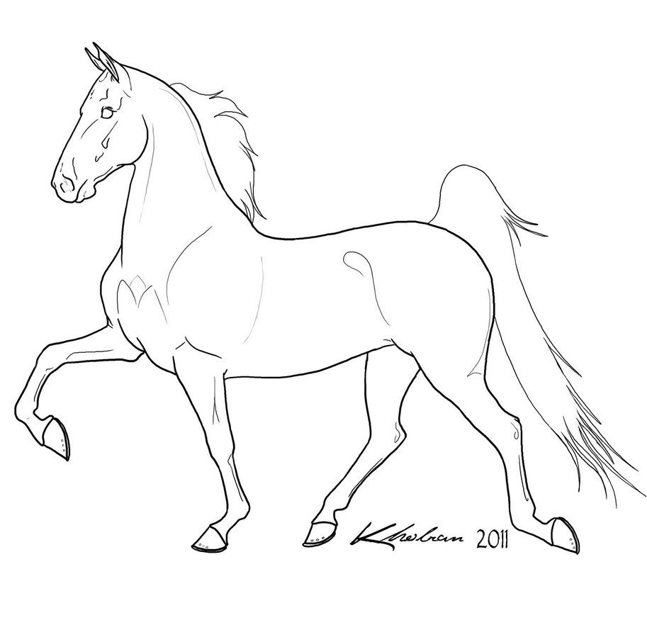 913x875 Gaited Horse Lineart By Kholran On Color Horses