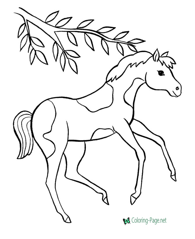 670x820 Horse Coloring Pages Prancing Pinto