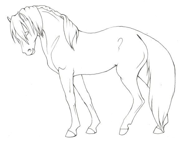 600x464 A Pinto Horse Has A Coat Color That Consists Large Patches