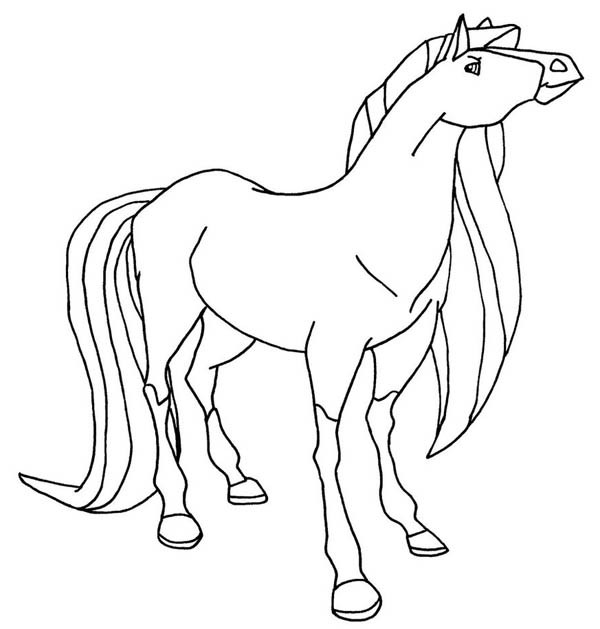 Pinto Horse Coloring Pages at GetColorings.com | Free printable ...