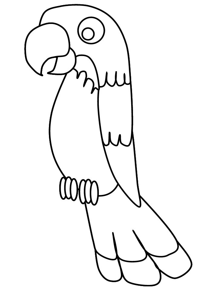 Parrot Coloring Page Print Out On Red Construction Paper And Glue 718x957 Parrot Coloring Page Print Out On Red Construction Paper And Glue