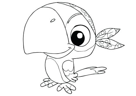Pirate Parrot Coloring Pages Cookie From And The Page Pirates 465x328 Pirate Parrot Coloring Pages Cookie From And The Page Pirates