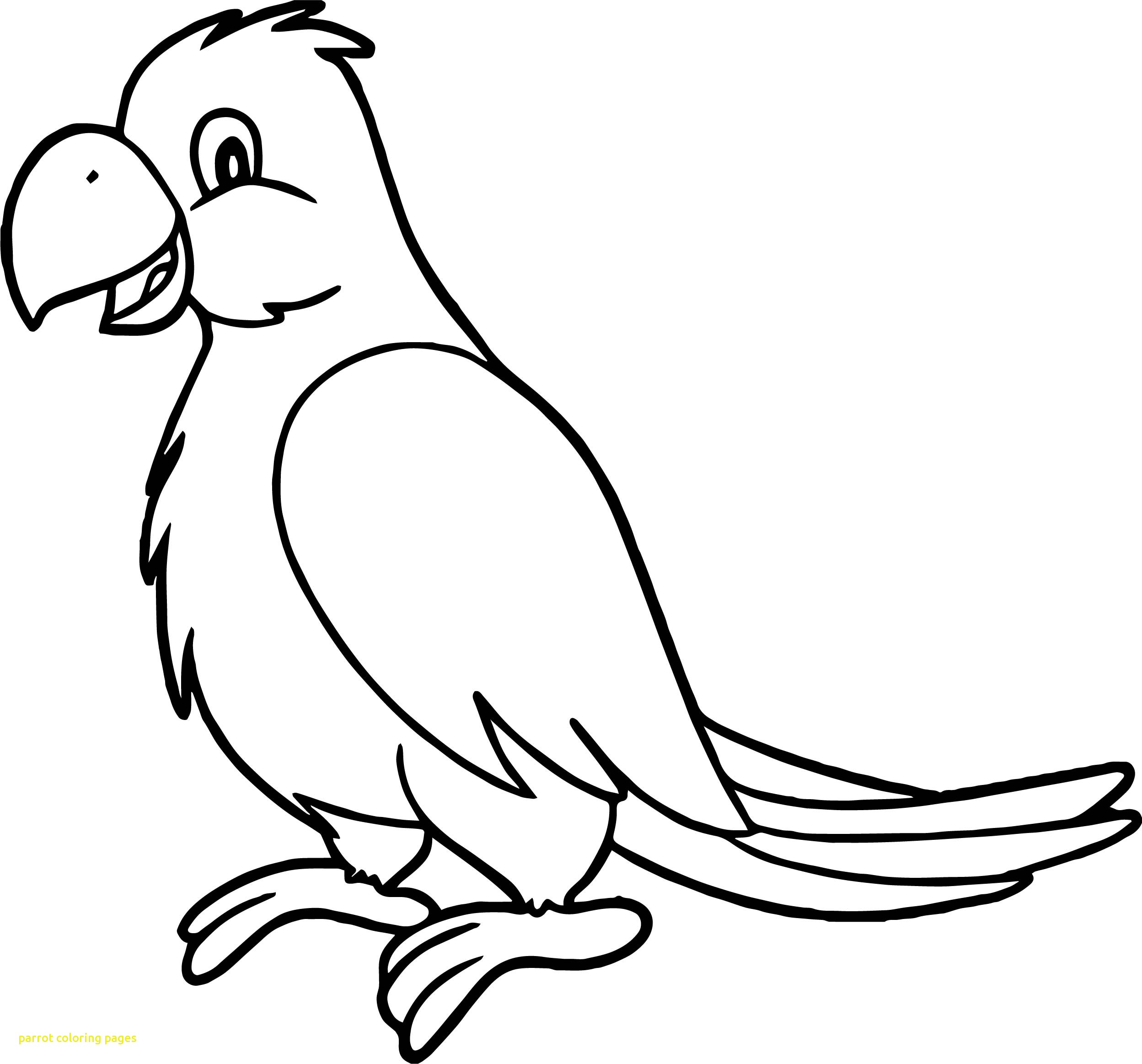 Pirate Parrot Coloring Pages Archives 2497x2326 Pirate Parrot Coloring Pages Archives
