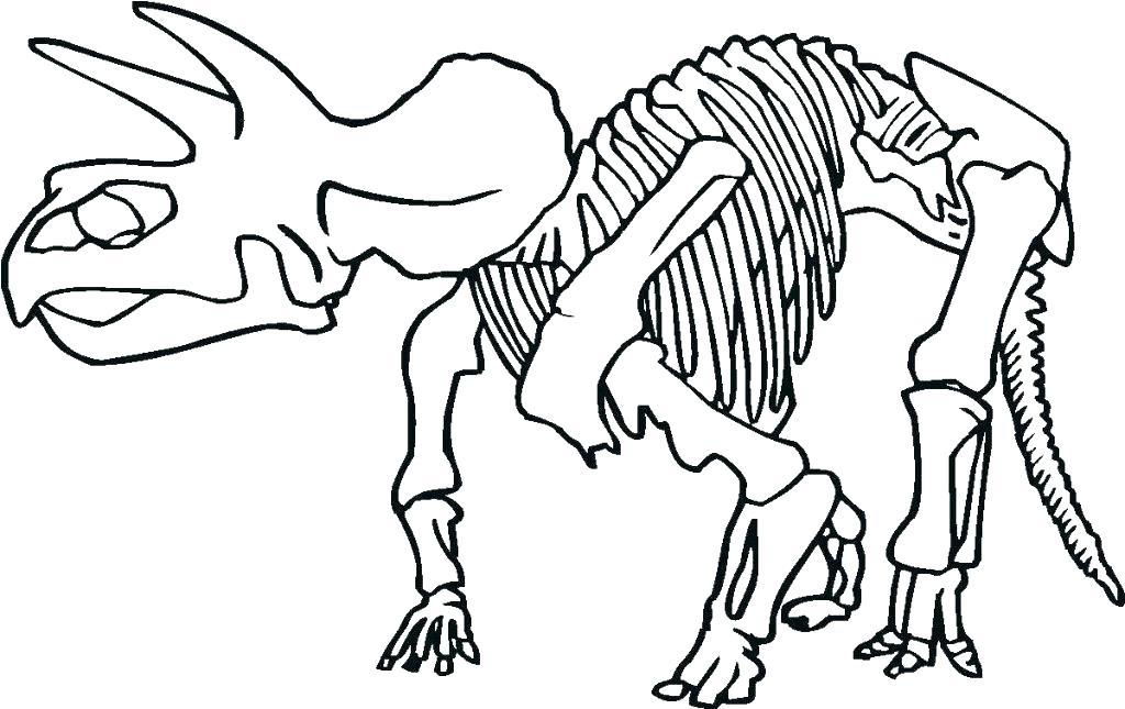 Skeleton Head Coloring Pages 1024x645 Skeleton Head Coloring Pages