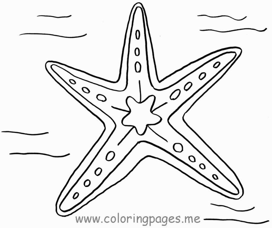 Starfish Coloring Page Coloring Pages Starfish 900x753 Starfish Coloring Page Coloring Pages Starfish