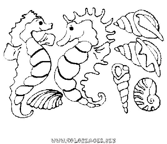 Coloriage Poissons De Mer Coloriages 533x460 Coloriage Poissons De Mer Coloriages