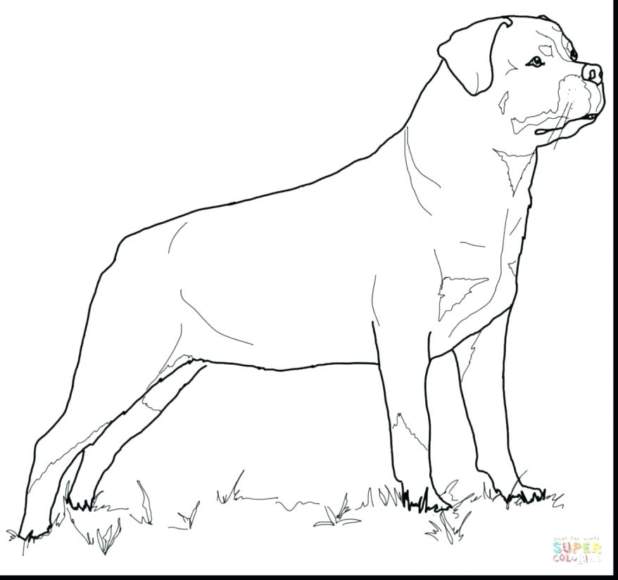 Pit Coloring Pages