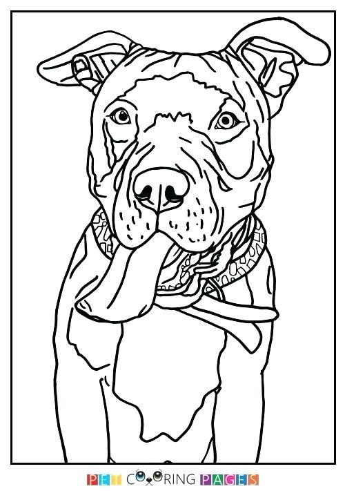 Coloring Pages Of Pit Bulls Page Bull Terrier Cute Puppy 500x711 Coloring Pages Of Pit Bulls Page Bull Terrier Cute Puppy