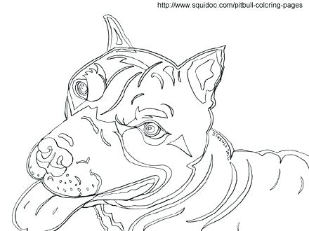 Pitbull Coloring Page Coloring Pages Of Pit Bulls Coloring Pages 440x330 Pitbull Coloring Page Coloring Pages Of Pit Bulls Coloring Pages
