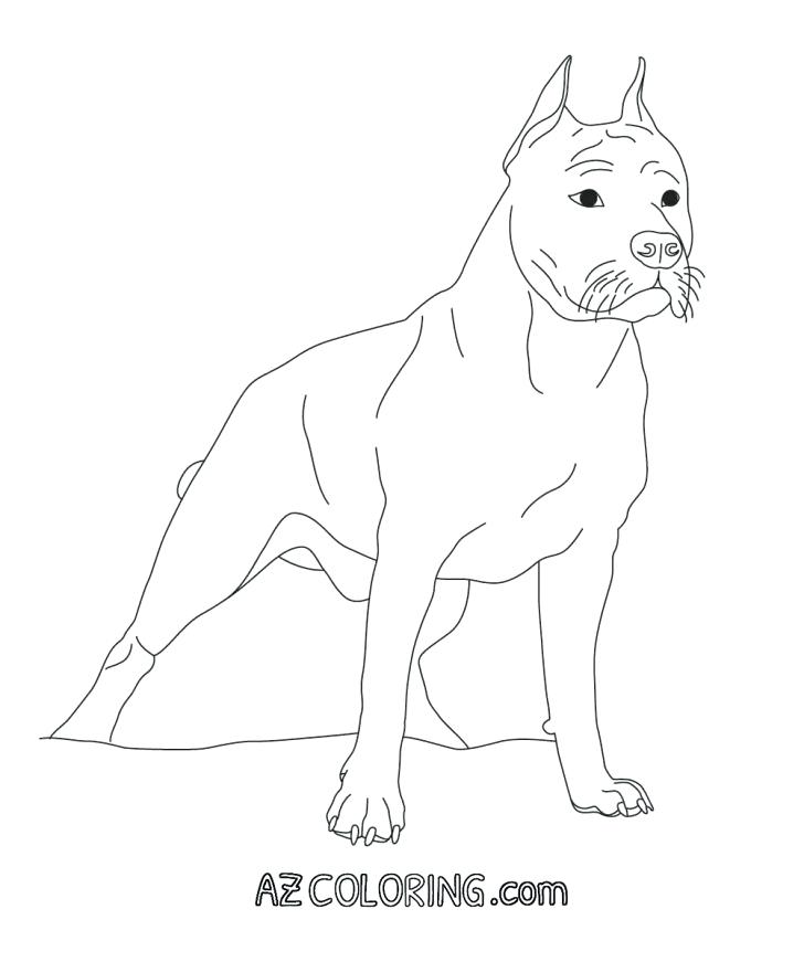 Pitbull Coloring Pages Coloring Pages Inspirational Pit Colouring 728x871 Pitbull Coloring Pages Coloring Pages Inspirational Pit Colouring