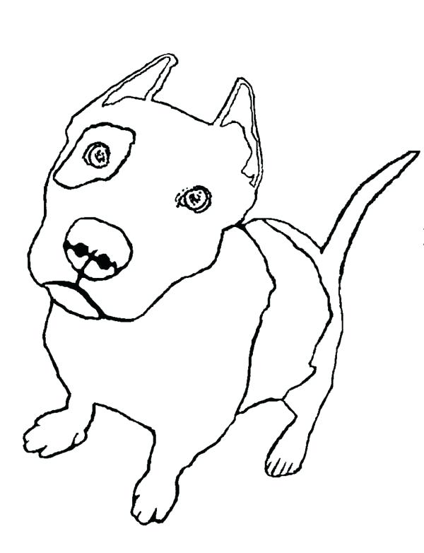 Pitbull Coloring Pages Pit Bull Coloring Page High Quality Cute 600x782 Pitbull Coloring Pages Pit Bull Coloring Page High Quality Cute