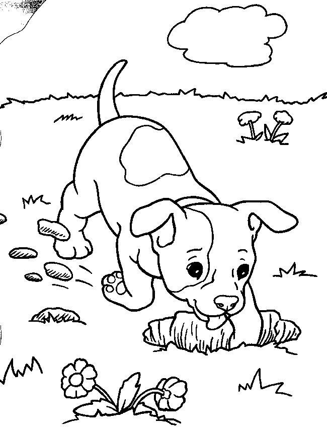 Puppies Coloring Page 7 650x856 Puppies Coloring Page 7