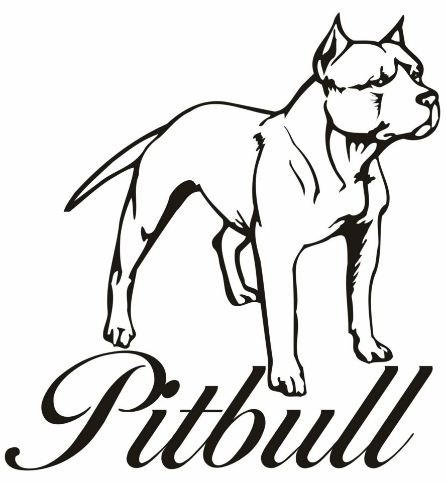 Pitbull Coloring Pages To Download And Print For Free Pitbull 888x962 Pitbull Coloring Pages To Download And Print For Free Pitbull