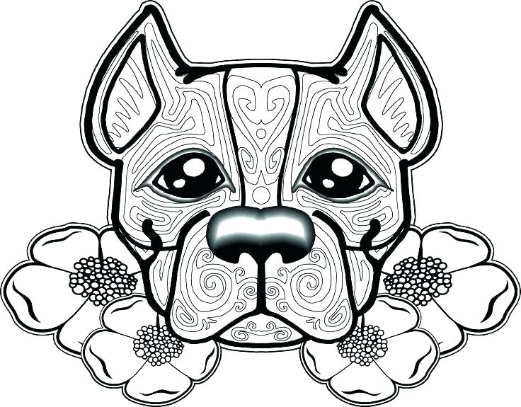 Pit Bull Coloring Pages 736x575 Pit Bull Coloring Pages