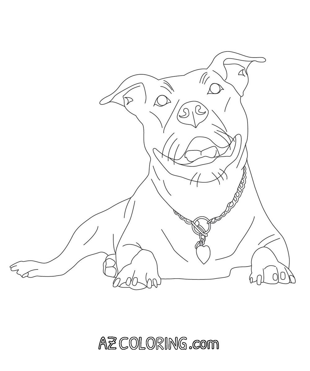 Pitbull Coloring Page Color Me In Clip Art 1000x1196 Pitbull Coloring Page Color Me In Clip Art