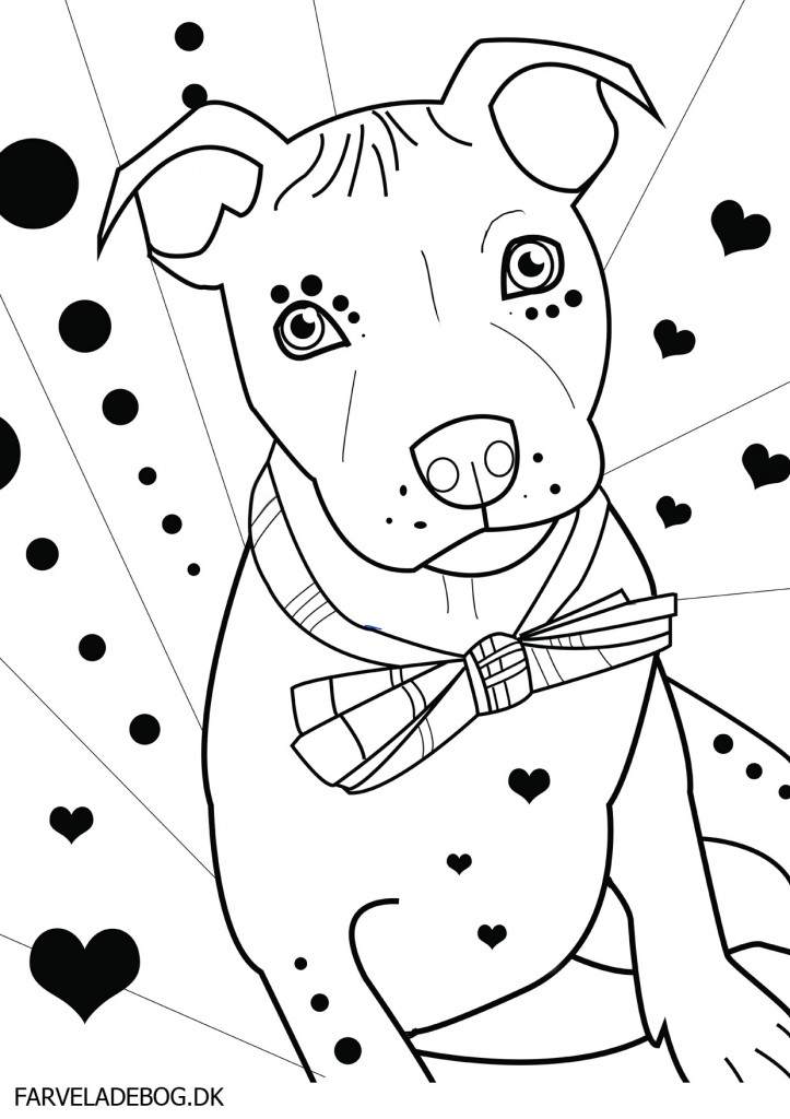 25 Pit Bull Coloring Pages, Pit Bull Coloring Pages Az Coloring 723x1024 25 Pit Bull Coloring Pages, Pit Bull Coloring Pages Az Coloring