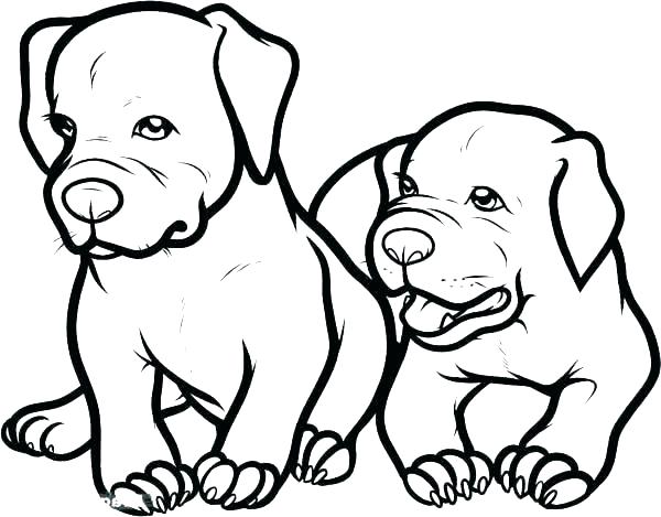 Pitbull Coloring Page Minimalist Coloring Pages Best Of Dog Page 600x469 Pitbull Coloring Page Minimalist Coloring Pages Best Of Dog Page