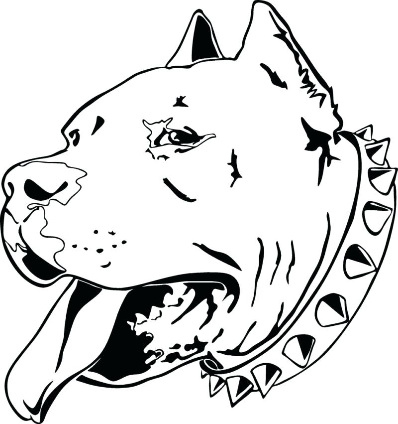 Pitbull Coloring Pages 6 800x851 Pitbull Coloring Pages 6