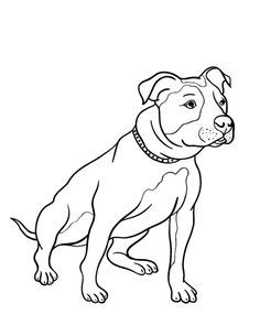 236x305 Pit Bull Puppy Coloring Page Crayon Action Coloring Pages Find
