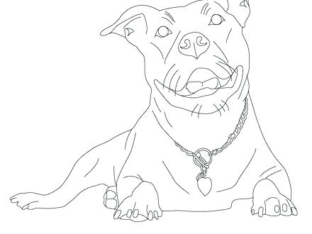 440x330 Pitbull Coloring Page Pit Bulls Coloring Pages Pitbull Coloring