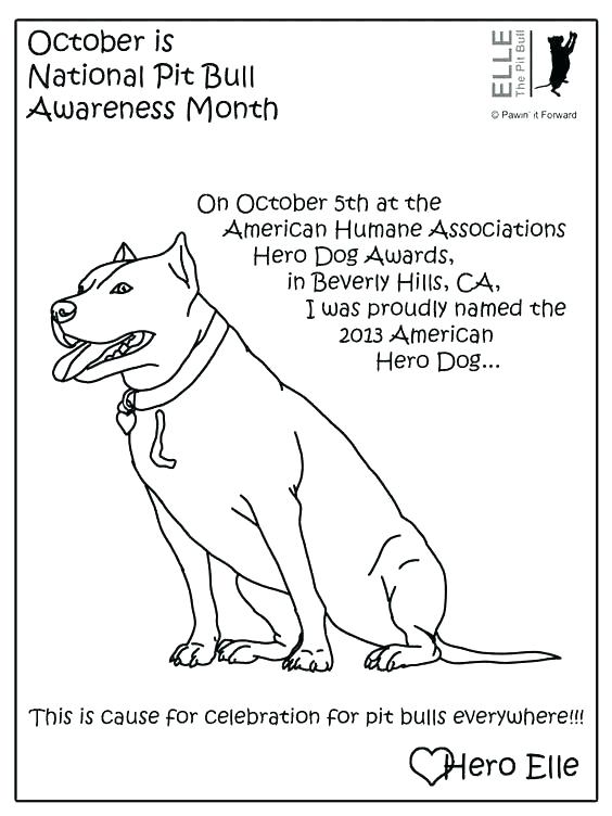 564x752 Pitbull Coloring Pages Coloring Page Dog Coloring Pages Realistic
