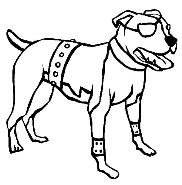 600x612 American Pitbull Boxer Dog Coloring Pages Best Place To Color