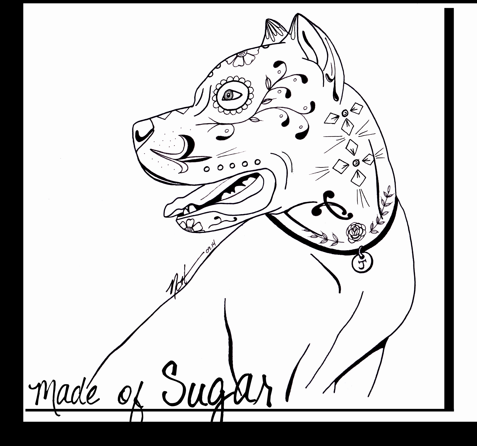 2008x1874 Coloring Page Dog Elegant Pitbull Sugar Skull Coloring Pages Night