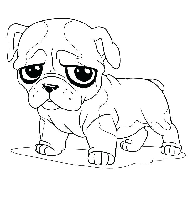 600x633 Pitbull Coloring Page Coloring Page Excellent Bulldogs Coloring