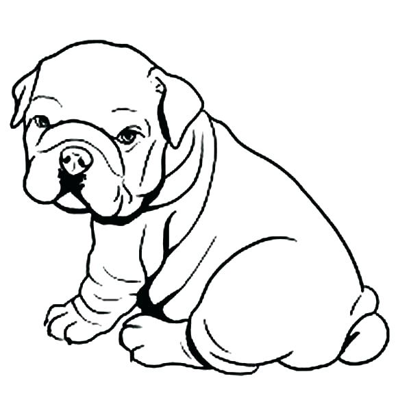 600x600 Pitbull Coloring Page Plain Coloring Pages Known Unique Article