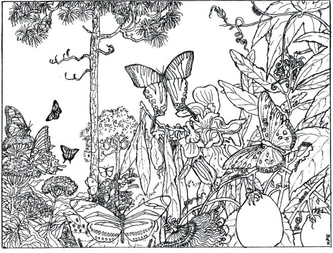 Coloring Pages Music Coloring Pages. Music Coloring Pages Free 657x500 Coloring Pages Music Coloring Pages. Music Coloring Pages Free