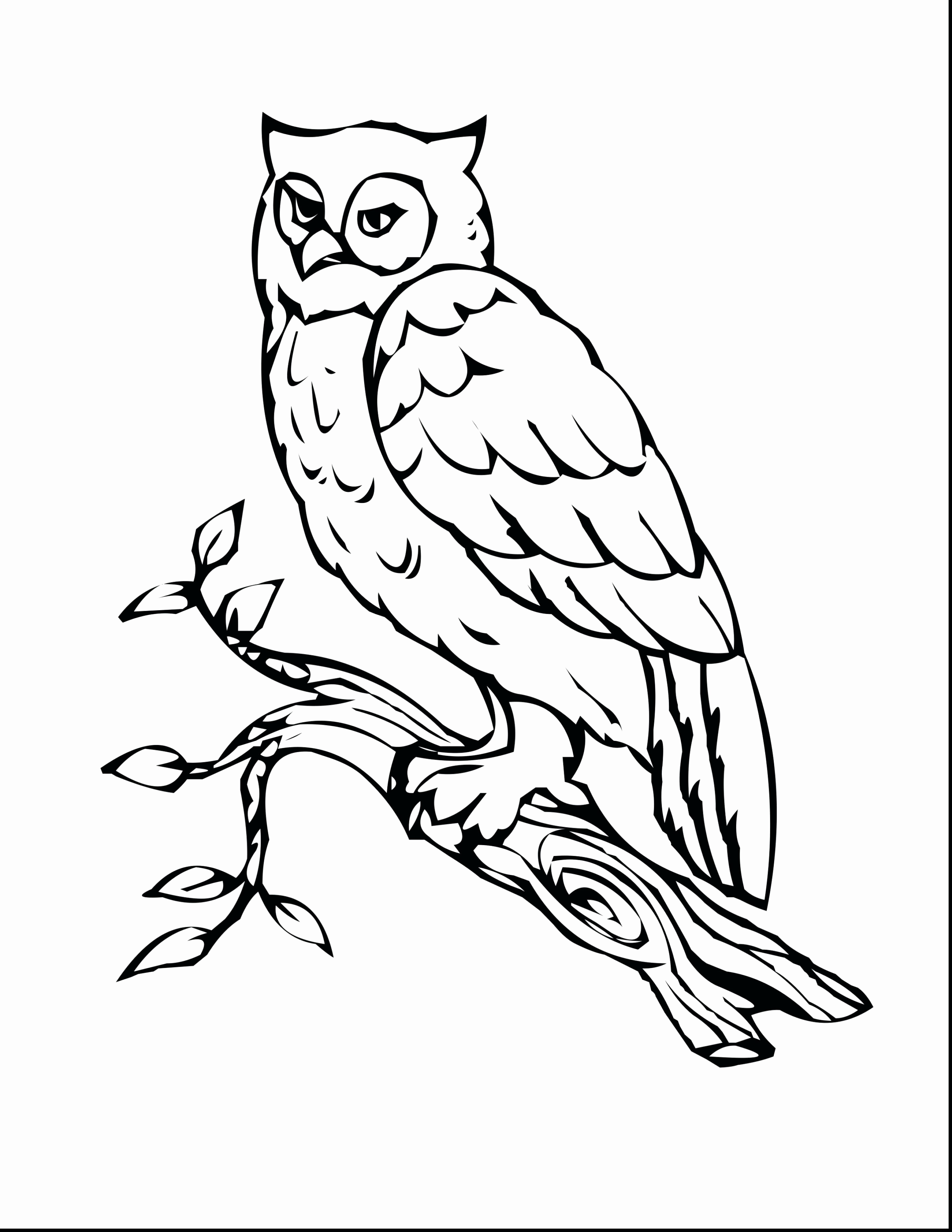 Owl Coloring Pages Elegant Cool Coloring Printables Free Placemats 2805x3630 Owl Coloring Pages Elegant Cool Coloring Printables Free Placemats