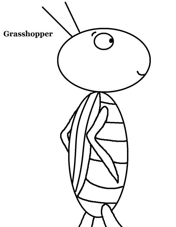 600x776 10 Plagues Of Egypt Locusts Grasshopper Coloring Page