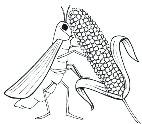 600x523 Ten Plagues Of Egypt Coloring Pages Ten Plagues Coloring Pages Ten