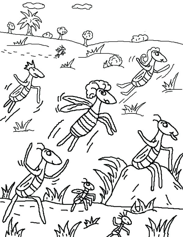 600x777 The Plagues Locusts Coloring Pages Coloring Sun The Plagues