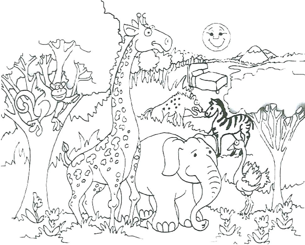 970x780 Cell Coloring Pages Plant Cell Coloring Page Pages Page Unknown
