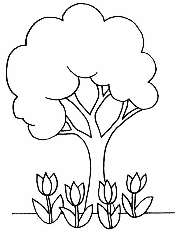 600x800 Magnificent Coloring Pages Trees Plants And Flowers Www