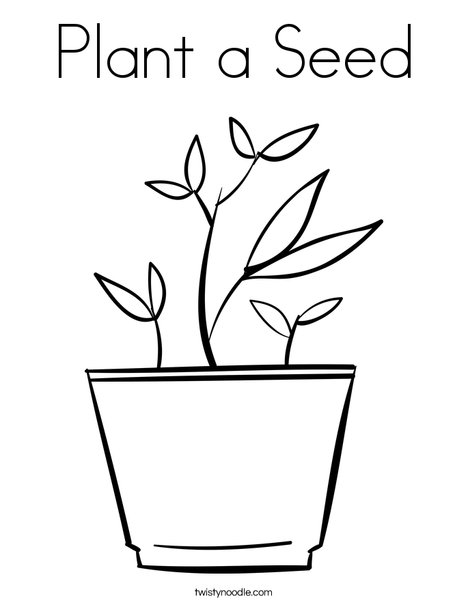 468x605 Plant A Seed Coloring Page