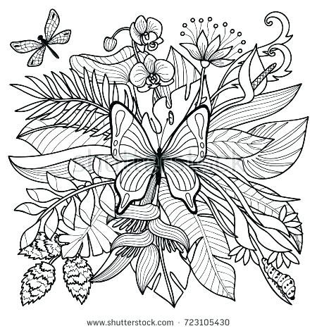 450x470 Plants Coloring Page Coloring Pages Insects Tropical Flowers