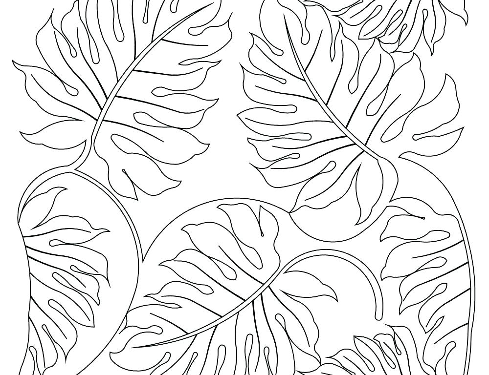 1000x768 Watering Plants Coloring Page Plants Coloring Pages Best Plants