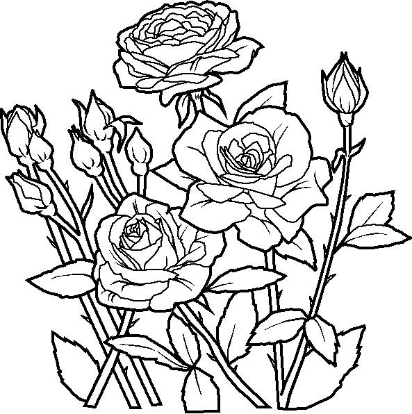 Kids Under 7 Flowers Coloring Pages Coloring Pages For Kids 593x596 Kids Under 7 Flowers Coloring Pages Coloring Pages For Kids