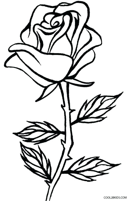 Plant Coloring Cell Coloring Page Best Of Cell Coloring Page All 531x820 Plant Coloring Cell Coloring Page Best Of Cell Coloring Page All