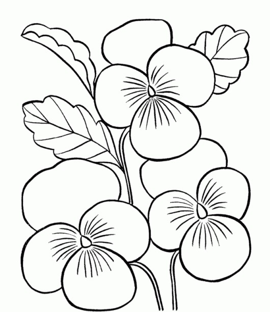 Printable Coloring Pages For Kids Flowers World Of Printable 530x613 Printable Coloring Pages For Kids Flowers World Of Printable