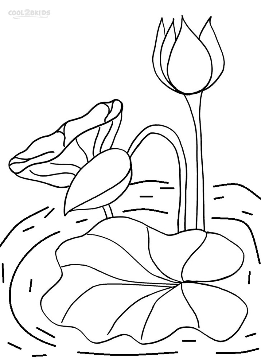 Printable Lily Pad Coloring Pages For Kids Cool2bkids 850x1169 Printable Lily Pad Coloring Pages For Kids Cool2bkids