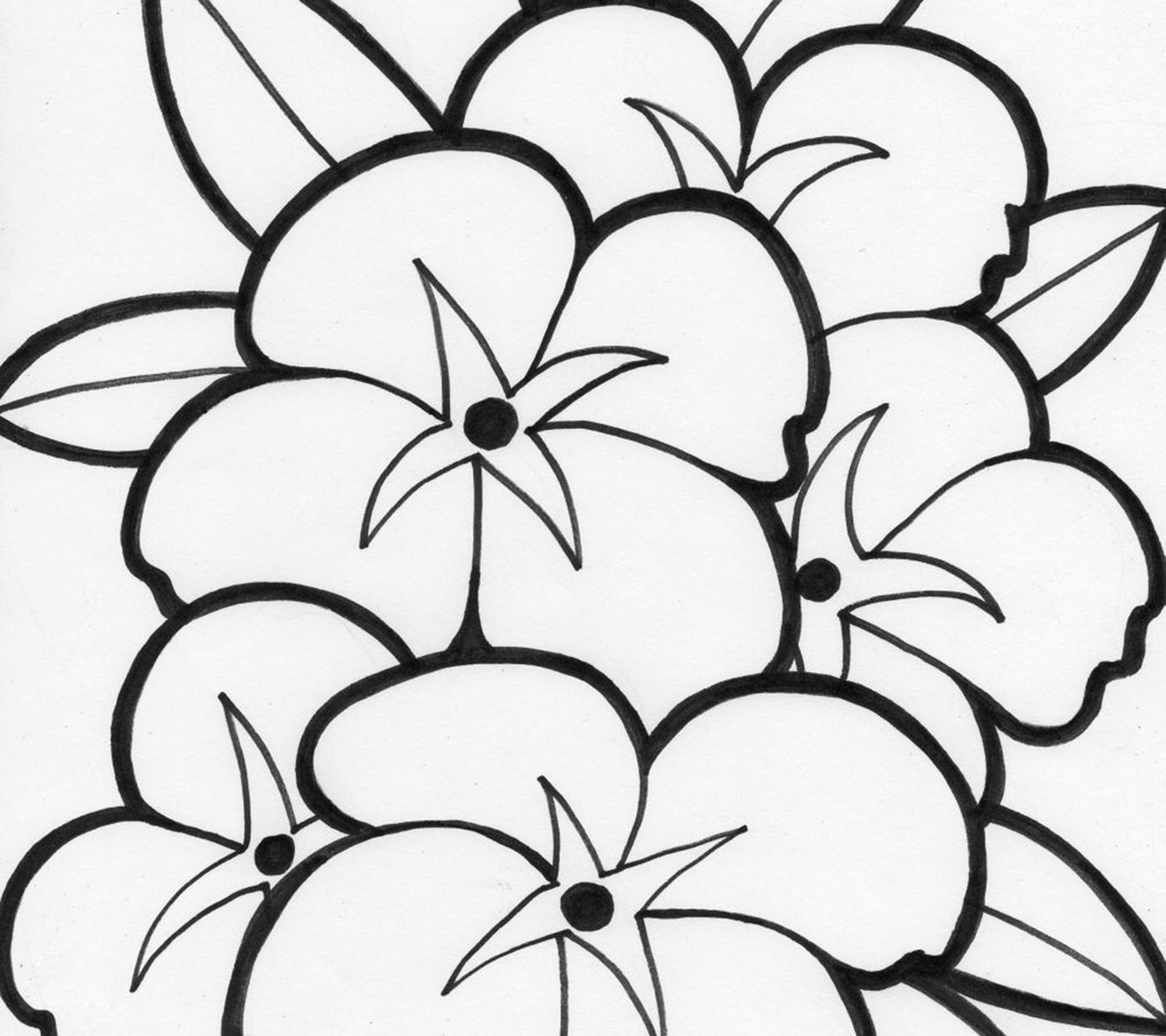 Rainforest Plants Coloring Pages Nice Kids How To Draw Free 1350x1200 Rainforest Plants Coloring Pages Nice Kids How To Draw Free